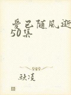 爱已随风逝短剧50集