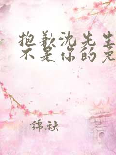 抱歉沈先生孩子不是你的免费完结短剧