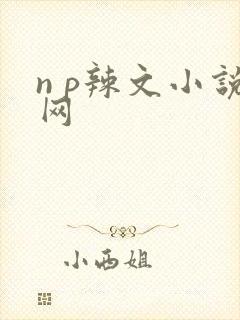 n p辣文小说网