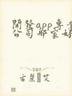 开发app专业公司哪家好