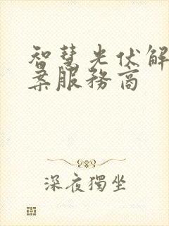 智慧光伏解决方案服务商