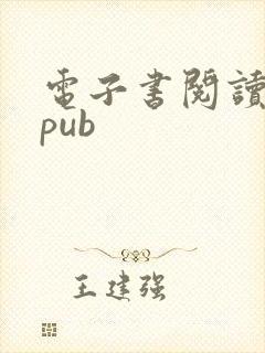电子书阅读器epub