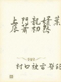 上门龙婿叶辰叶辰萧初然