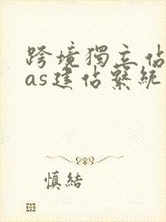 跨境独立站saas建站系统