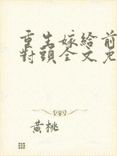 重生嫁给前夫死对头全文免费阅读