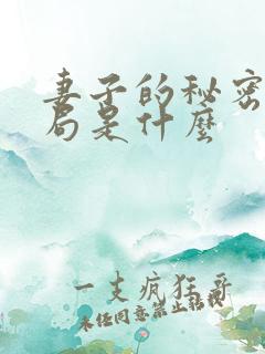 妻子的秘密大结局是什么