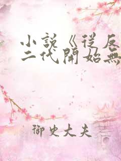 小说《从反派富二代开始无敌》