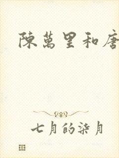 陈万里和唐嫣然