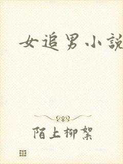 女追男小说甜文