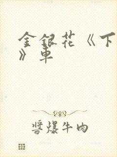 金银花《下厨房》车