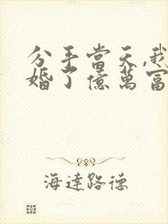 分手当天,我闪婚了亿万富豪正版