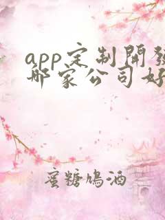 app定制开发哪家公司好