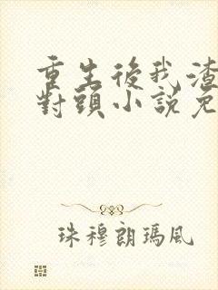 重生后我渣了死对头小说免费阅读