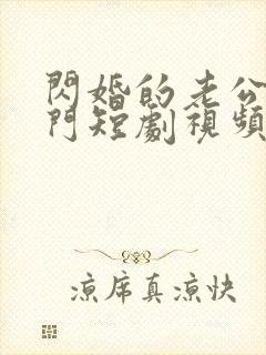 闪婚的老公是豪门短剧视频全集