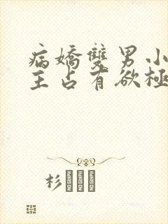 病娇双男小说男主占有欲极强