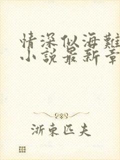 情深似海难回首小说最新章节