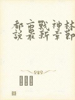 都市战神林北小说最新章节