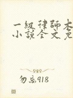 一级律师木苏里小说全文免费阅读全文