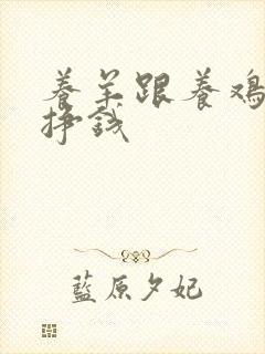 养羊跟养鸡哪样挣钱