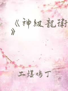 《神级龙卫沈浪》