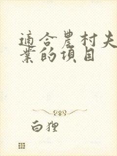 适合农村夫妻创业的项目