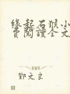 缘起石猴小说免费阅读全文最新章节