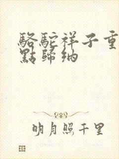 骆驼祥子重点考点归纳