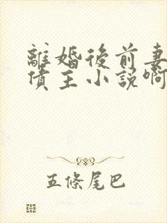 离婚后前妻成了债主小说啊欢