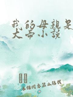 我的母亲是反派大帝小说