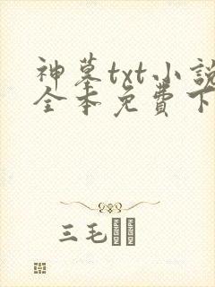 神墓txt小说全本免费下载