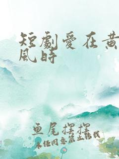 短剧爱在黄昏晚风时
