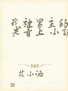 我被男主的白月光看上 小说