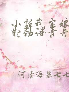 小说我家娘子不对劲洛青舟完结版