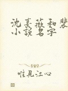 沈熹薇和裴云霄小说名字