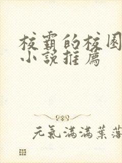 校霸的校园甜宠小说推荐