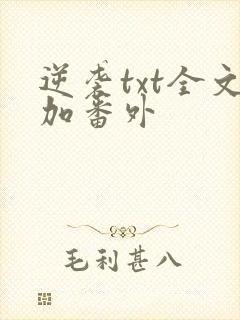 逆袭txt全文加番外