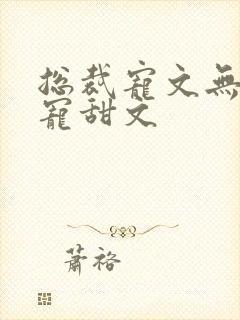 总裁宠文无虐超宠甜文