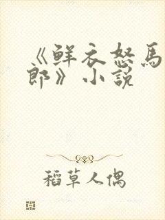 《鲜衣怒马少年郎》小说