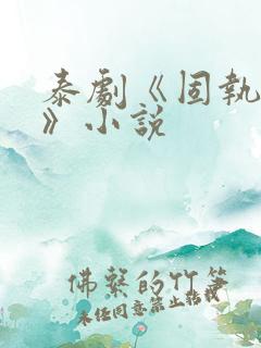 泰剧《固执的爱》小说