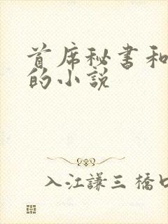 首席秘书和总裁的小说