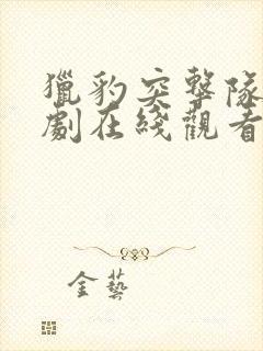 猎豹突击队电视剧在线观看