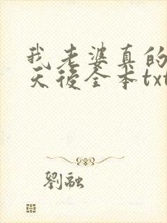 我老婆真的不是天后全本txt下载