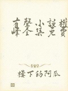 有声小说权力巅峰全集免费听书