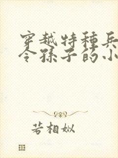 穿越特种兵成司令孙子的小说