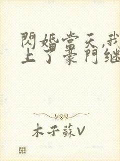 闪婚当天,我怀上了豪门继承人爆火短剧