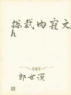 总裁肉宠文+高h