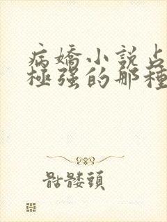 病娇小说占有欲极强的那种双男主