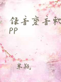 录音变音软件app