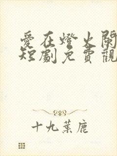 爱在灯火阑珊处短剧免费观看