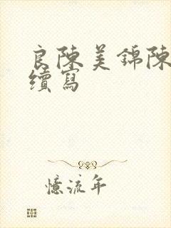 良陈美锦陈彦允续写